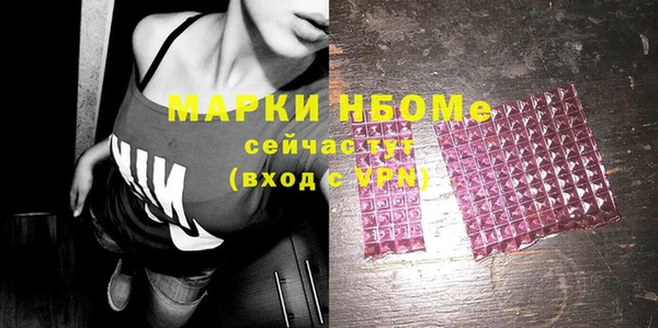 индика Балахна