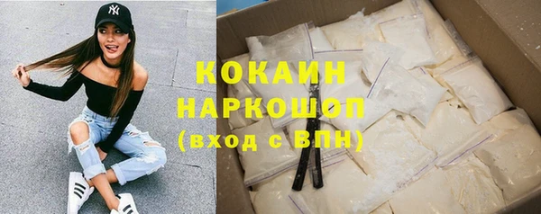 индика Балахна