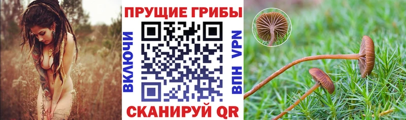 Галлюциногенные грибы Magic Shrooms  купить наркотик  omg как войти  Голицыно 